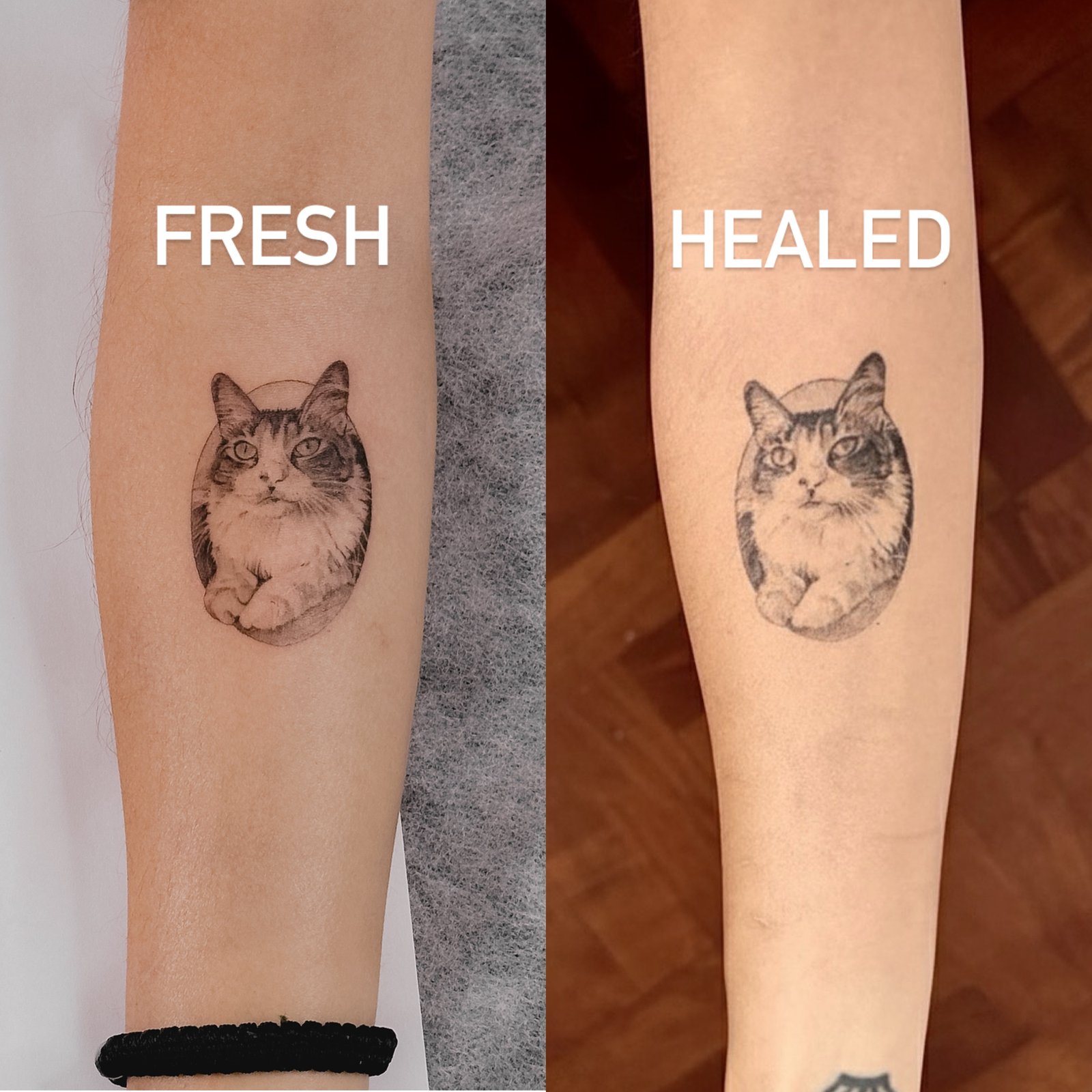 Healed dog portrait tattoo result
