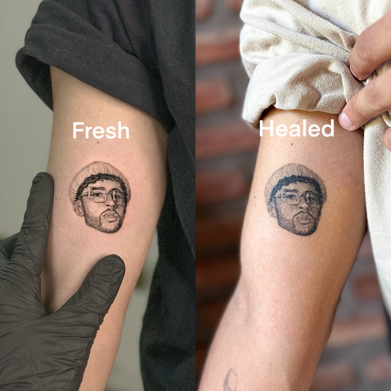 Healed cat portrait tattoo result